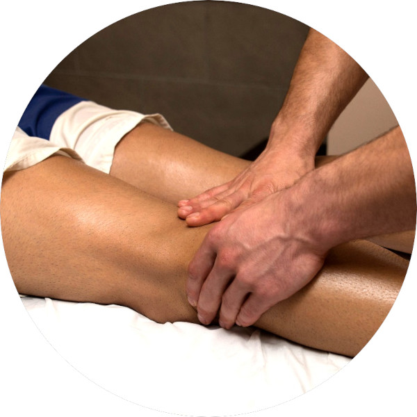 Illustration af sædemuskel, lår, læg og fødder